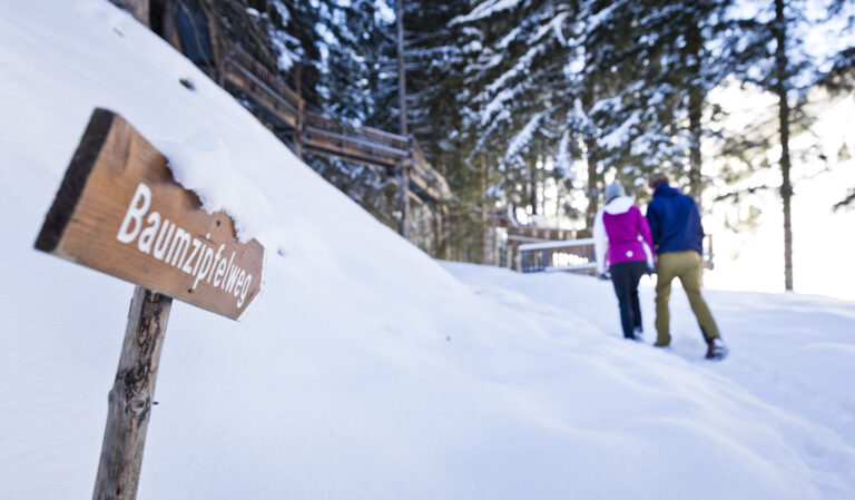 baumzipfel_schneeschuh_wander